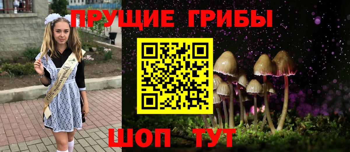 Псилоцибиновые грибы прущие грибы  Вход с VPN  Ставрополь 