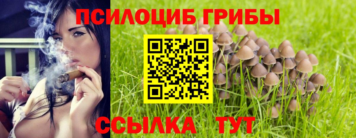 Псилоцибиновые грибы Magic Shrooms Ставрополь